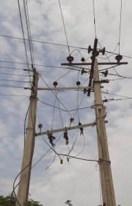 IMG-20240627-WA0015