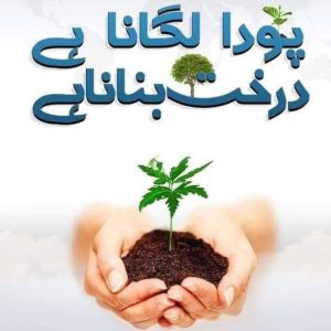 IMG-20240709-WA0137