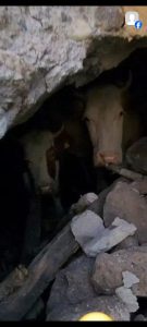 IMG-20240727-WA0147