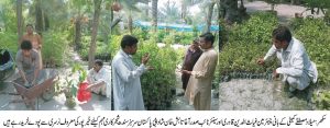 IMG-20240728-WA0063