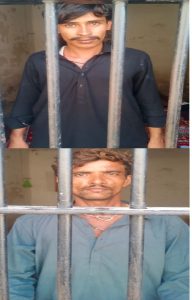 IMG-20241005-WA0230