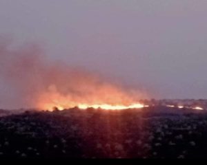 IMG-20241017-WA0143
