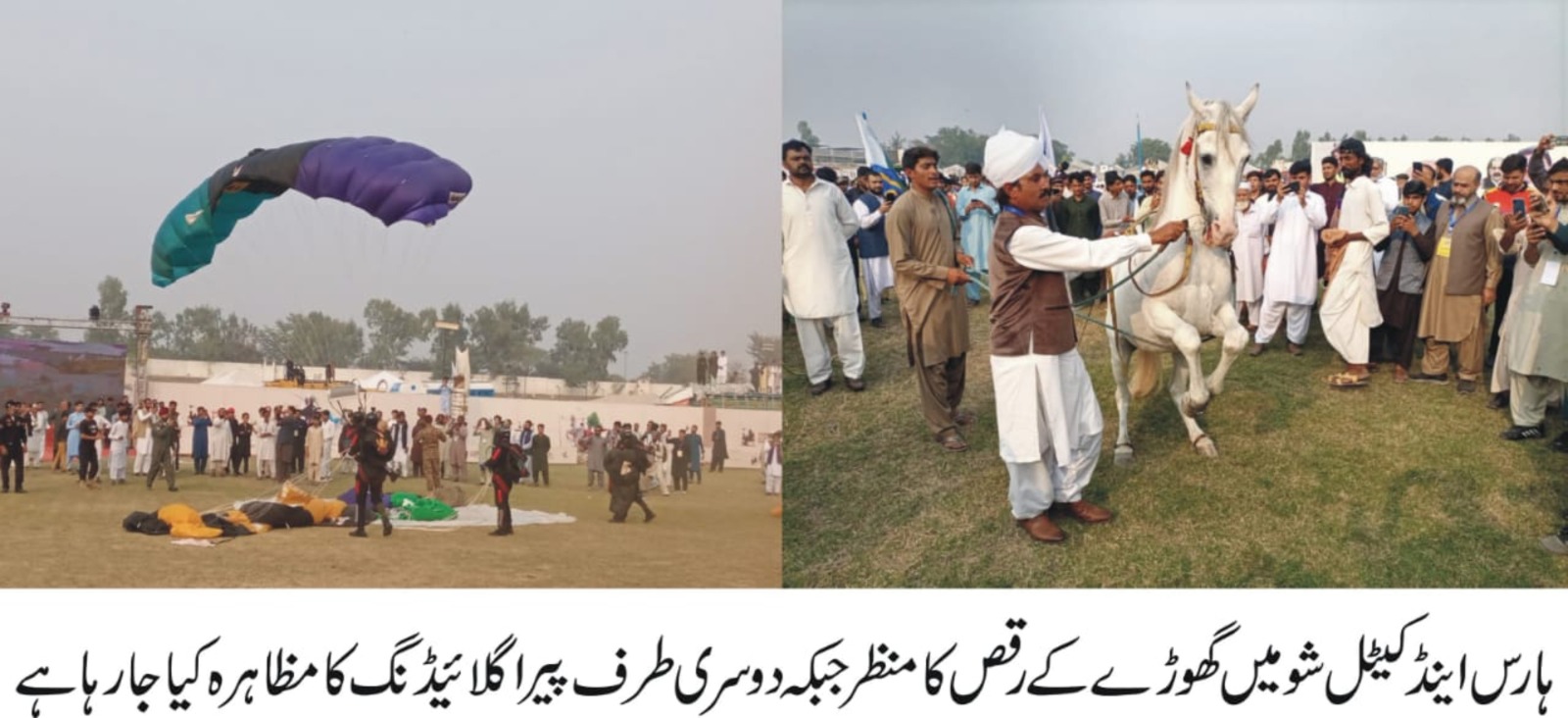 IMG-20241108-WA0197