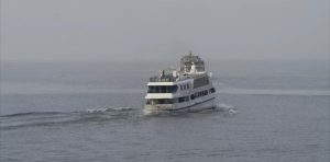IMG-20241223-WA0377
