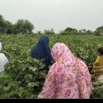 دیہی خواتین کے لیے حکومتی سہولیات: اعلان سے آگاہی اور رسائی تک کا سفر